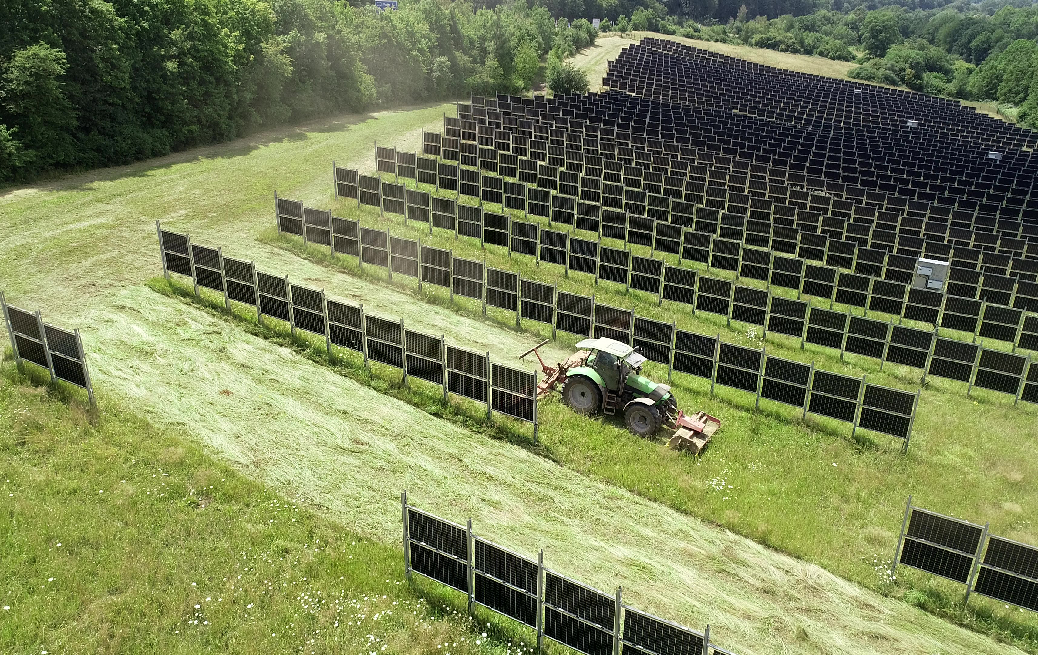 Agrivoltaisk solpark i tyska Dirmingen. Foto: Next2Sun